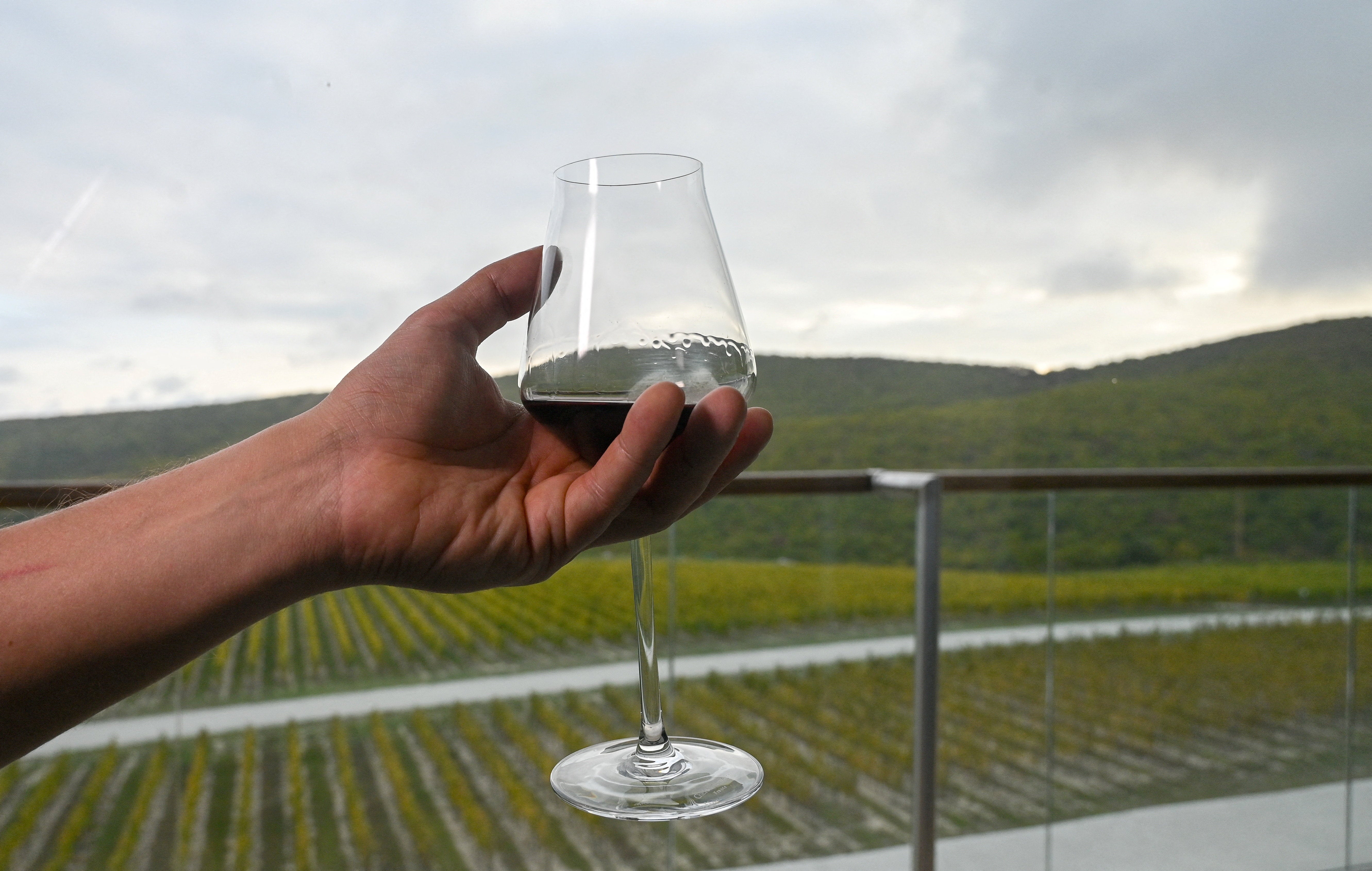 A visitor holds a glass with wine at Cote Rocheuse winery outside the Black Sea resort of Anapa in the Krasnodar region, Russia, October 8, 2025. REUTERS/Sergey Pivovarov