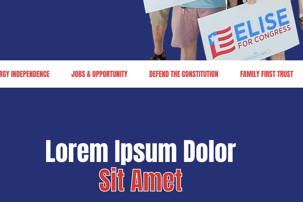 Observers said Elise Stefanik’s campaign for governor launched with a website filled with spelling errors and filler text