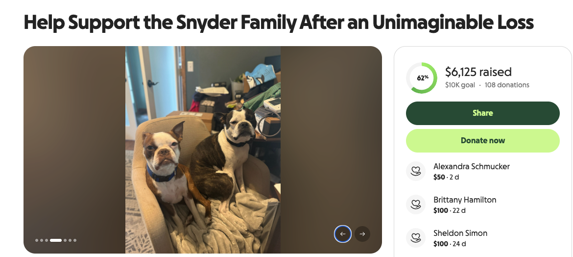 One of the dogs was killed in the incident, while the other was hospitalized and requires expensive veterinary treatment, according to a friend of the family who launched a GoFundMe page in support