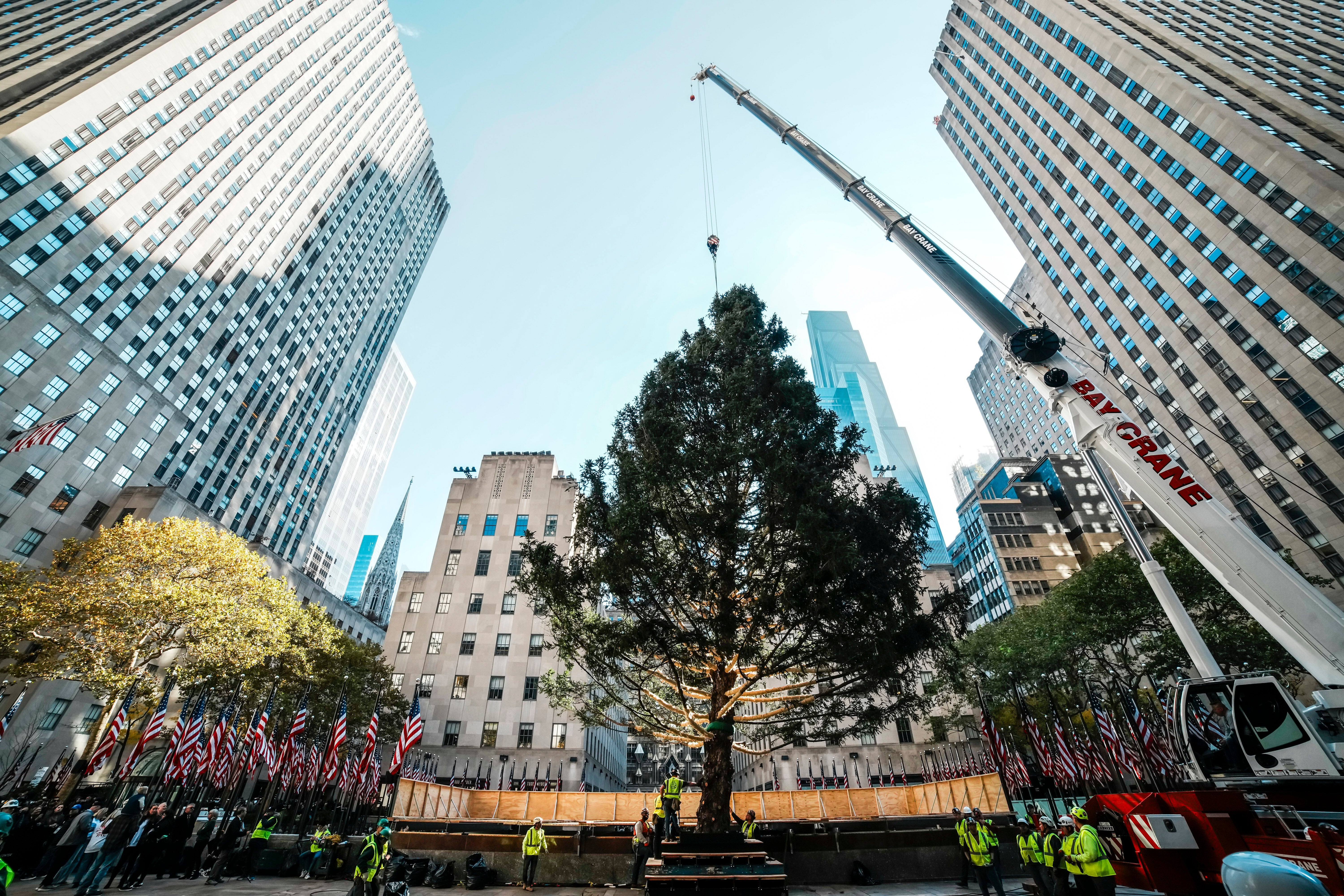 Rockefeller-Center-Christmas-Tree