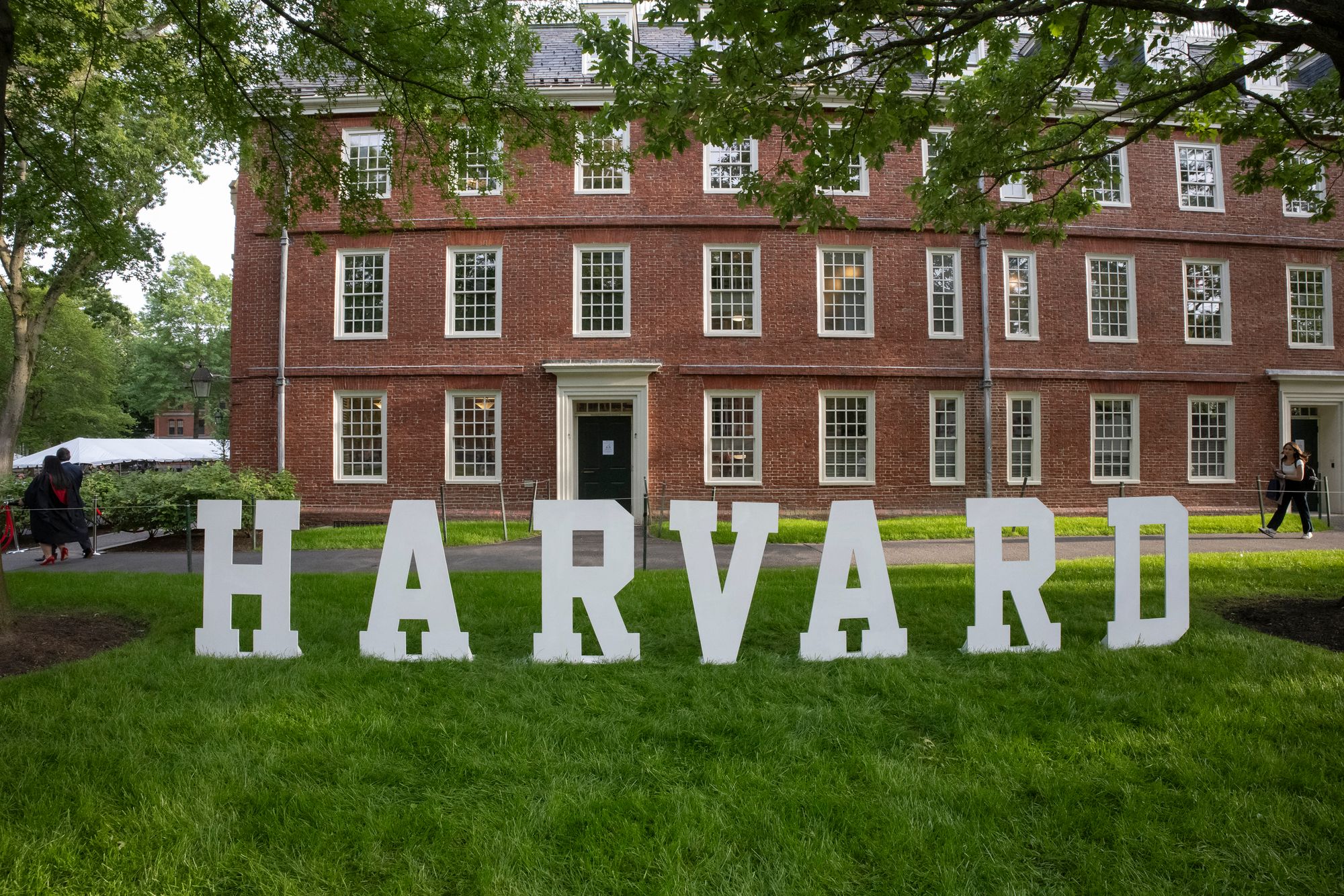 A Harvard University team’s research has been rescued by a 6-year-old girl’s generous fundraising donation that left everybody 'flabbergasted,' one professor said