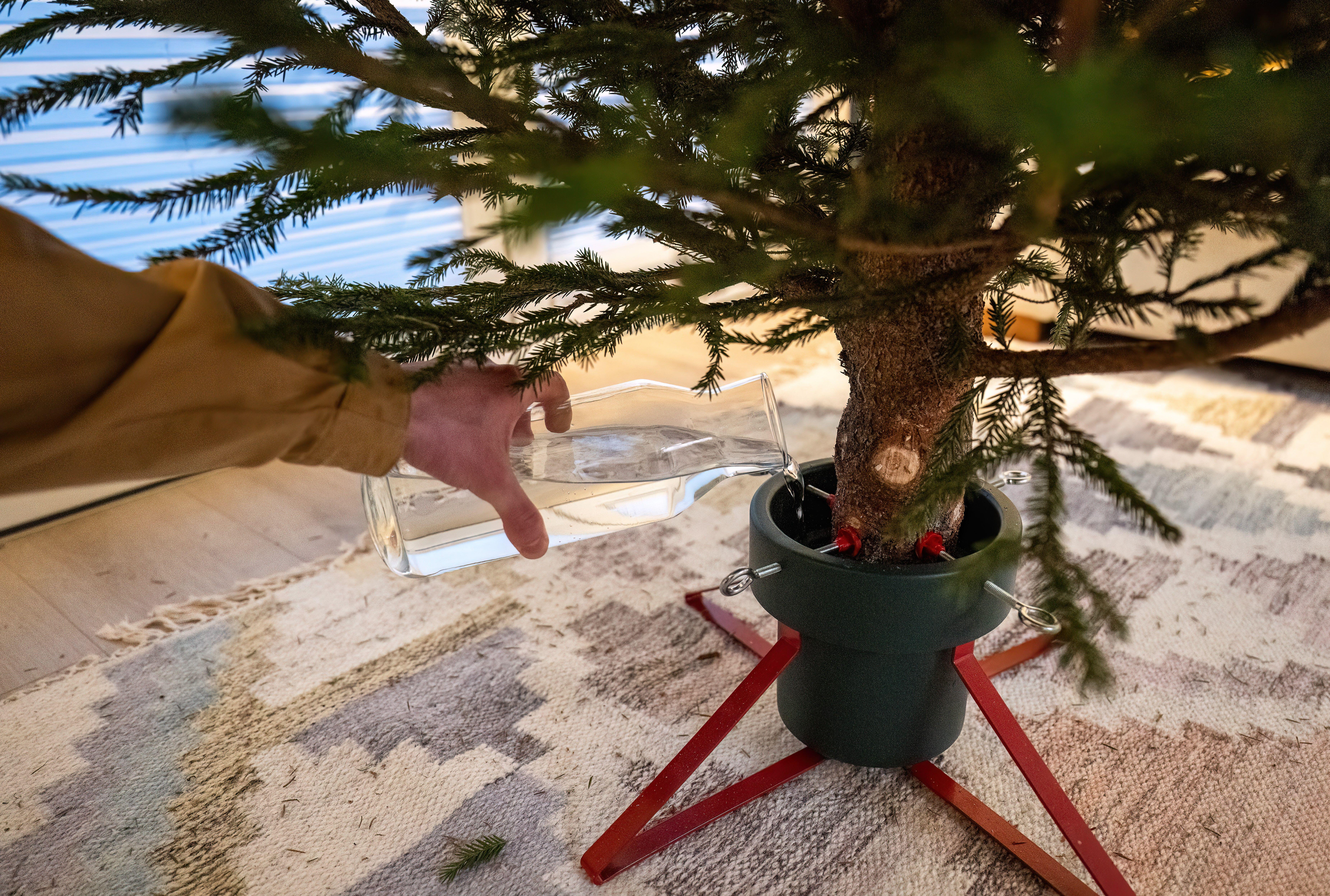 Getting a stand with a water reservoir will help your tree to last longer