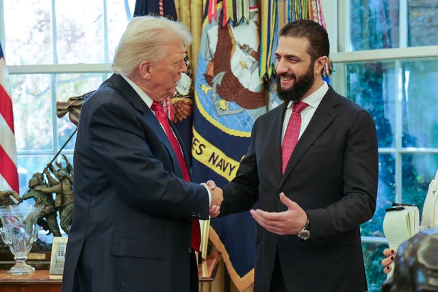 <p>Donald Trump shaking hands with Syria's President Ahmed al-Sharaa at the White House </p>