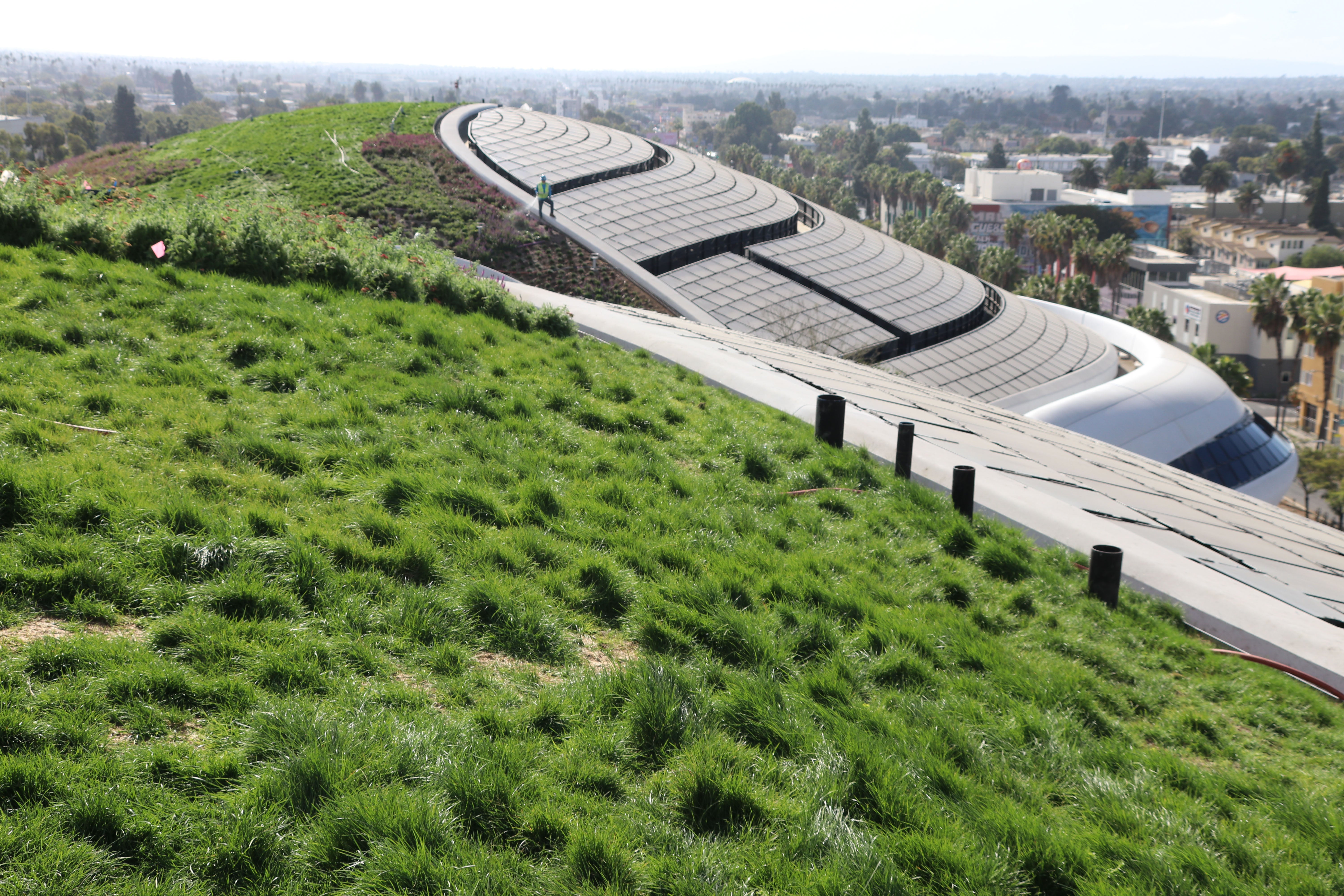 The 300,000-square-foot building sits in a landscape consisting of trees, gardens and walkways, and will house what’s claimed to be 'one of the world’s most significant collections of narrative art'