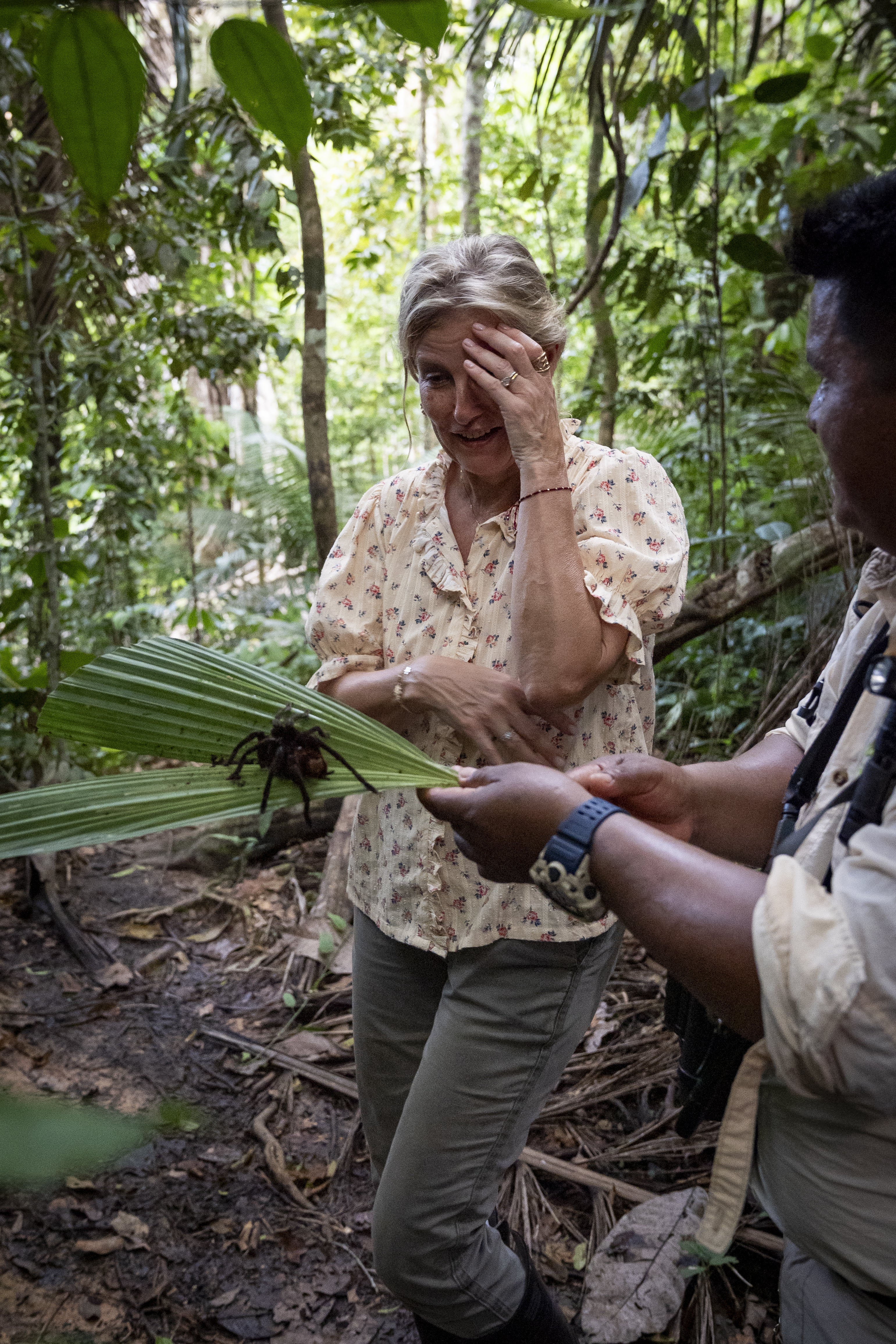 Sophie appeared nervous as she inspected Goliath birdeater – the world's largest tarantula – during a jungle trek