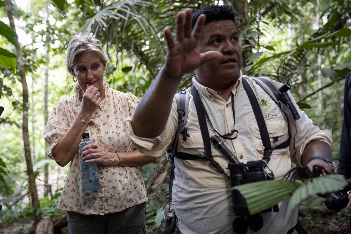 Duchess Sophie comes face-to-face with huge bird-eating spider in Amazon jungle