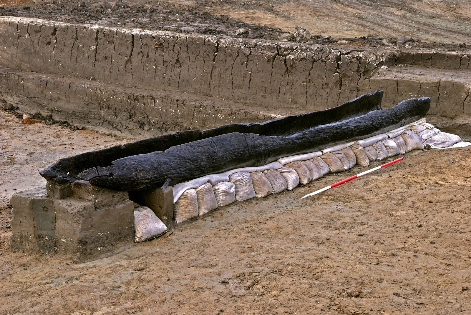 One of three log boats which will go on display at Flag Fen Archaeology Park