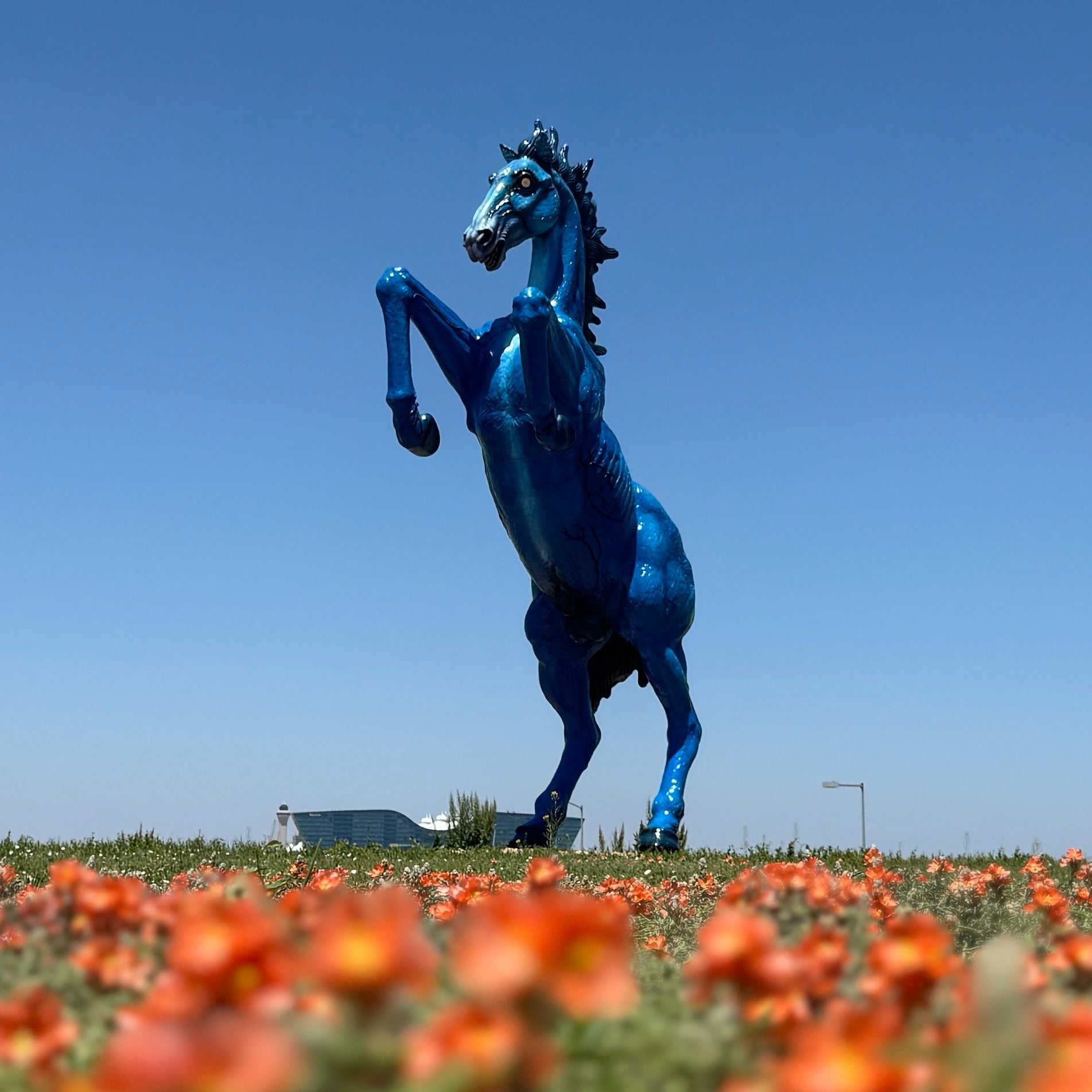Even before stepping inside, the airport’s most infamous resident greets you from the side of Peña Boulevard – a 32-foot-tall cobalt blue mustang with glowing red eyes