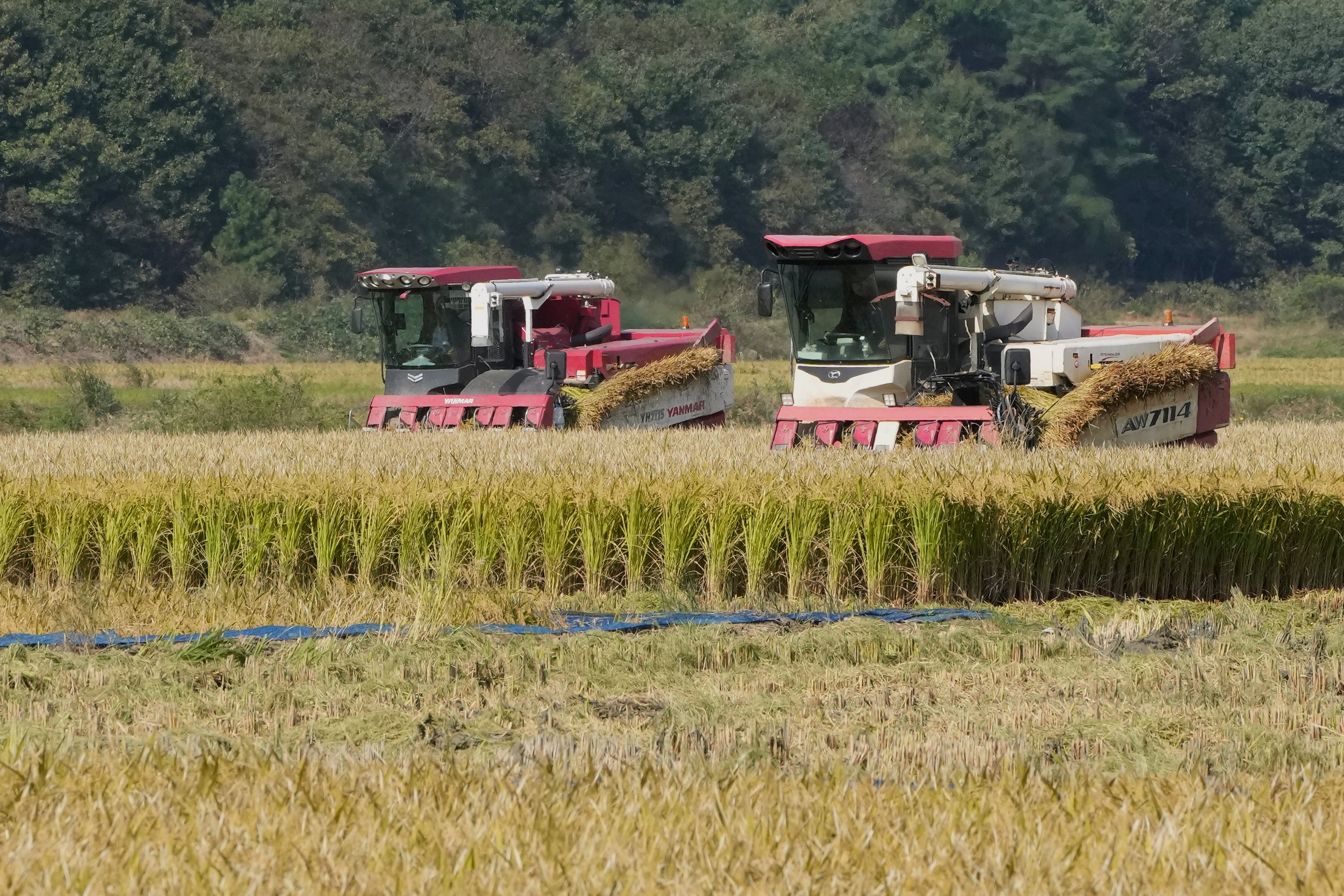 South Korea Farmers Climate Lawsuit
