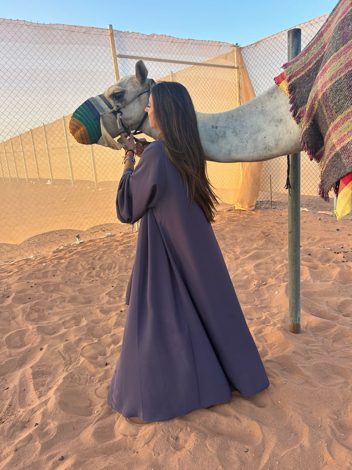 Camels are ‘extremely smart’, Ms Reggio says