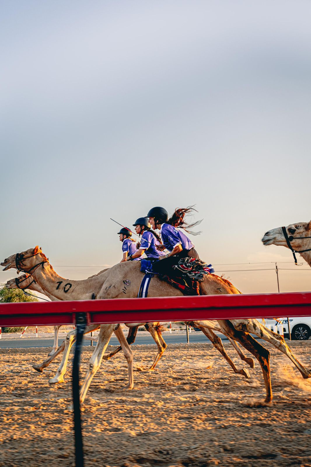 Ms Reggio trained for just two months before competing in her first camel race