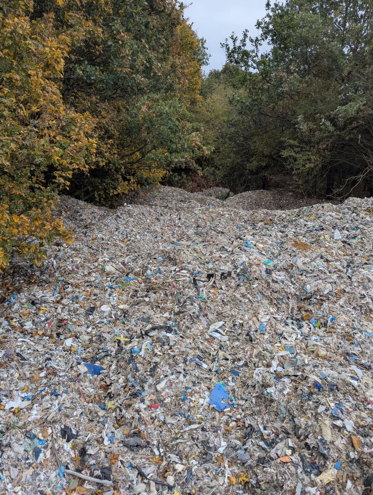 The illegal rubbish dump was left there by an organised crime group, charity says