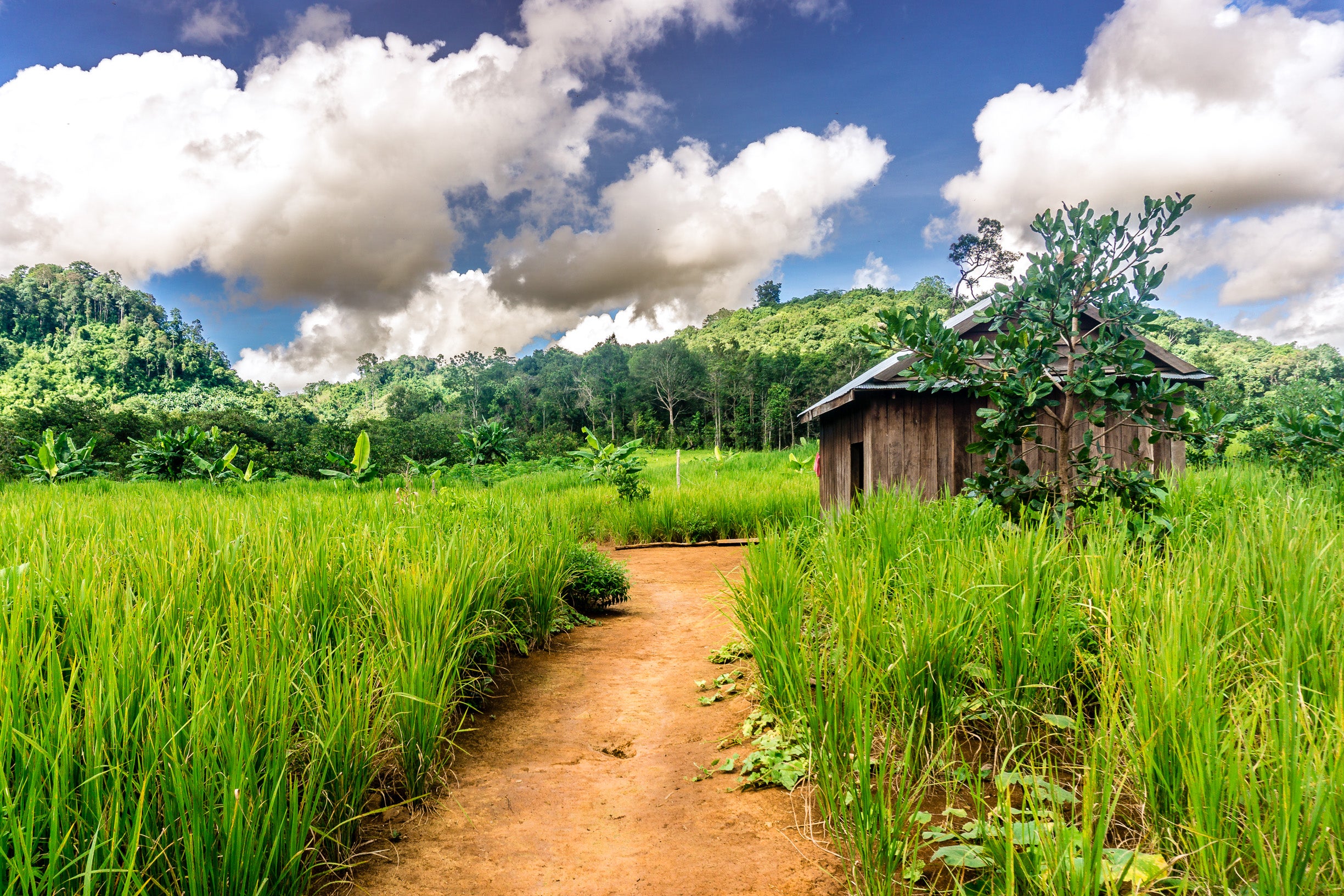 A Bunong Village in Mondulkiri province, one of the areas that has become vastly more accessible to tourists