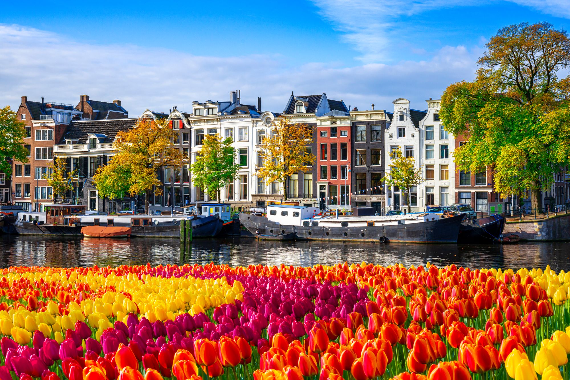 Amsterdam can be an expensive city to visit so deals are welcomed