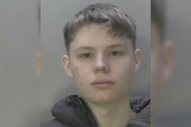 <p>Thomas Waller, 18, targeted boys at a nursery in Surrey </p>
