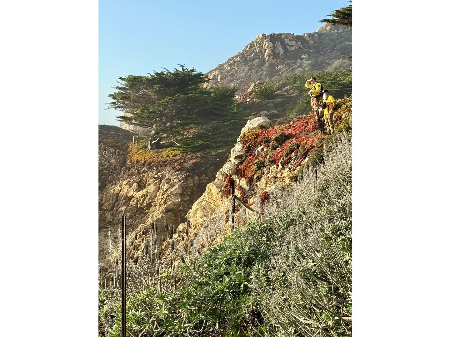 Local, state, and federal officials, including a Coast Guard helicopter, joined in the search