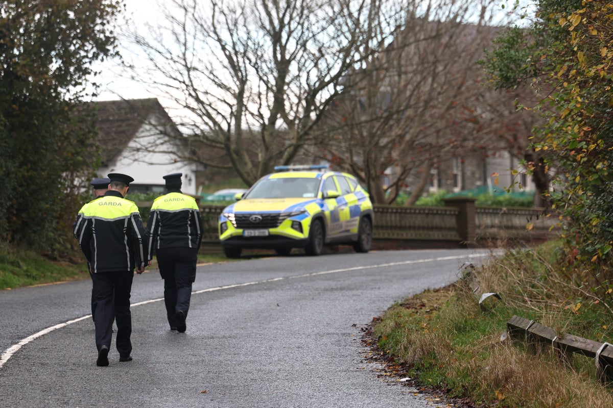 Five young people killed in ‘devastating’ crash in Co Louth, Ireland