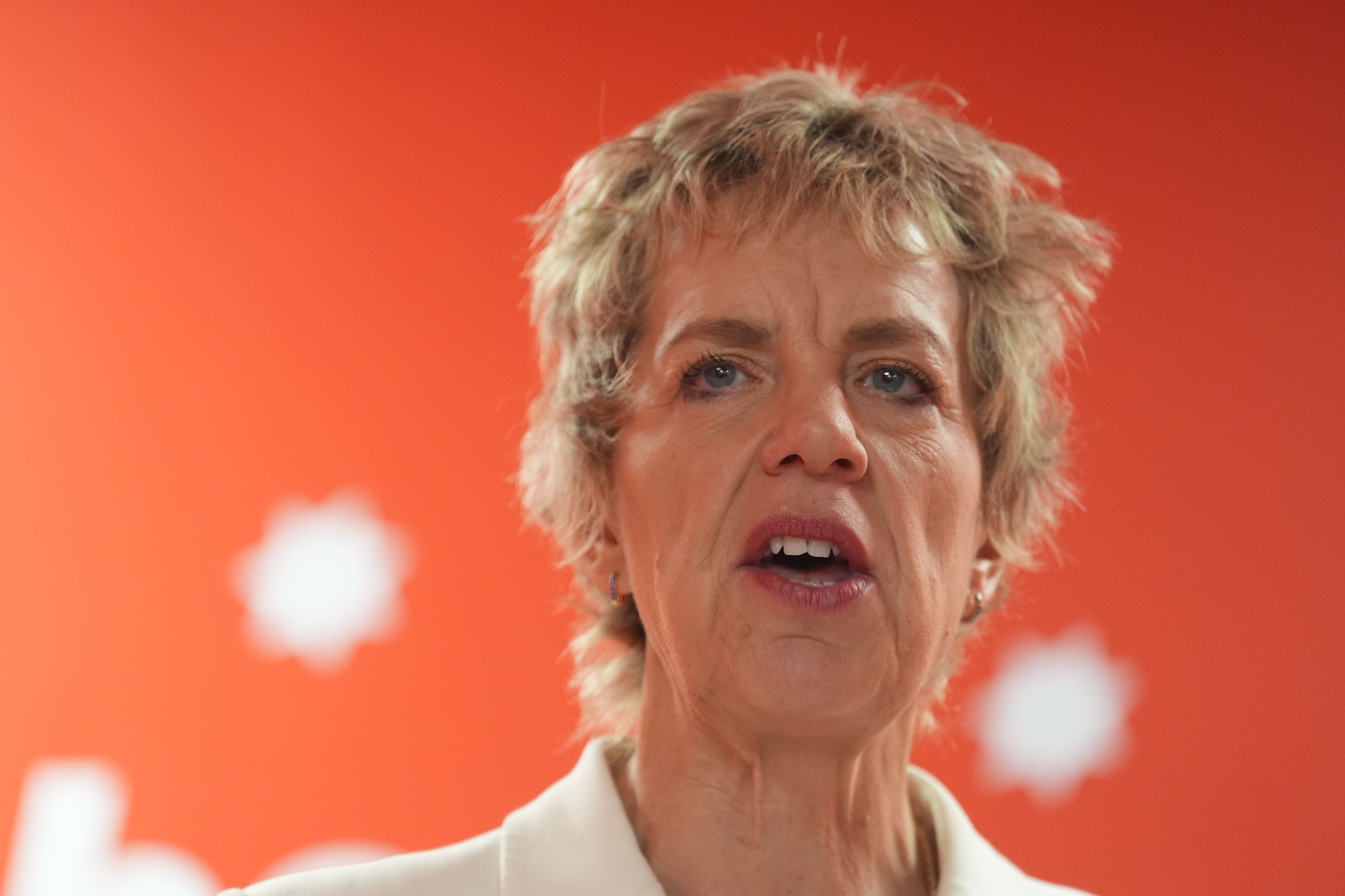 Labour leader Ivana Bacik (PA)