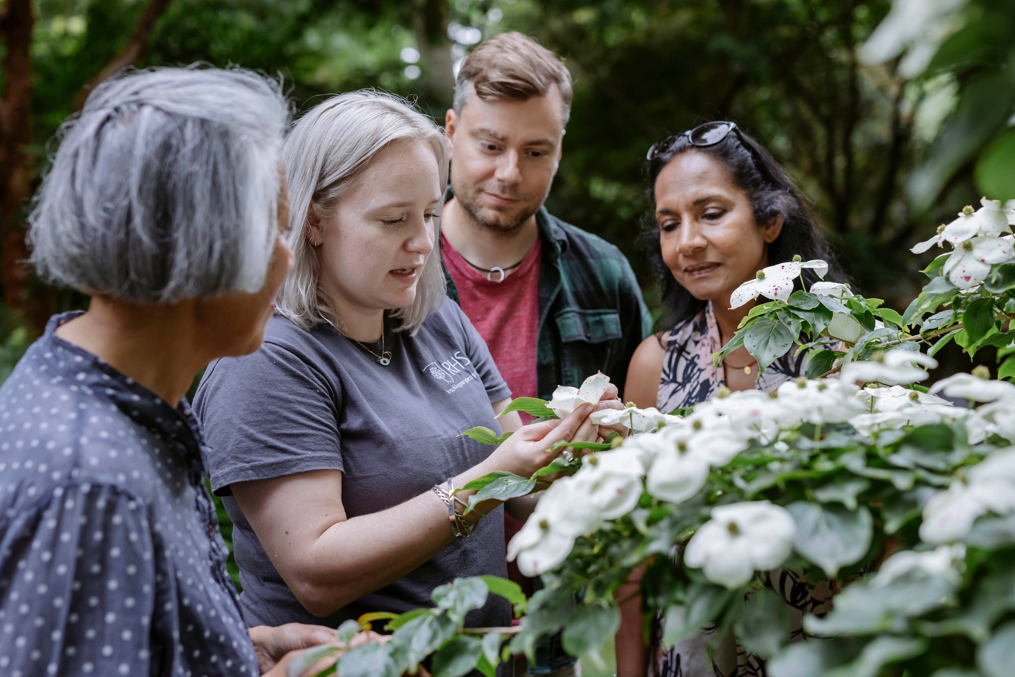 From winter rose pruning to willow weaving, keen gardeners will be inspired by these workshops (RHS/PA)