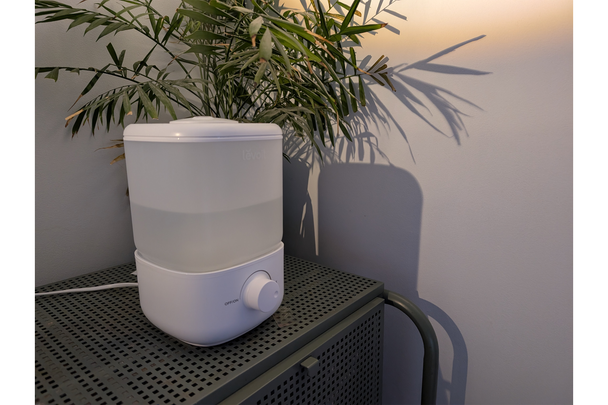 best humidifier indybest review Levoit classic 160 humidifier