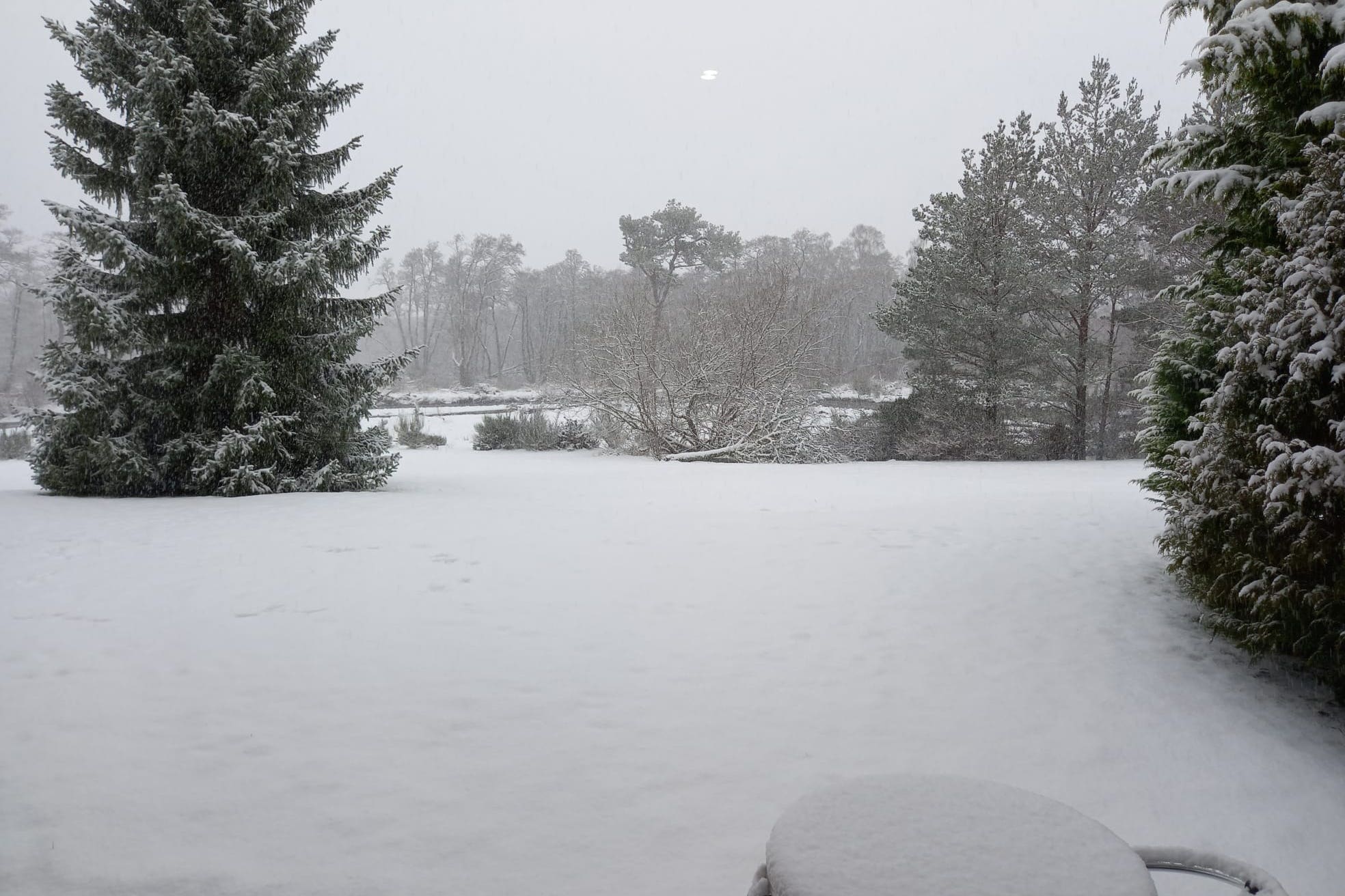 <p>A snowy scene in Aviemore, Scotland</p>