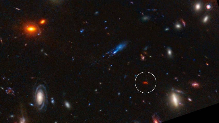 The galaxy Y1 (circled) glowing red in an image captured by the James Webb Space Telescope