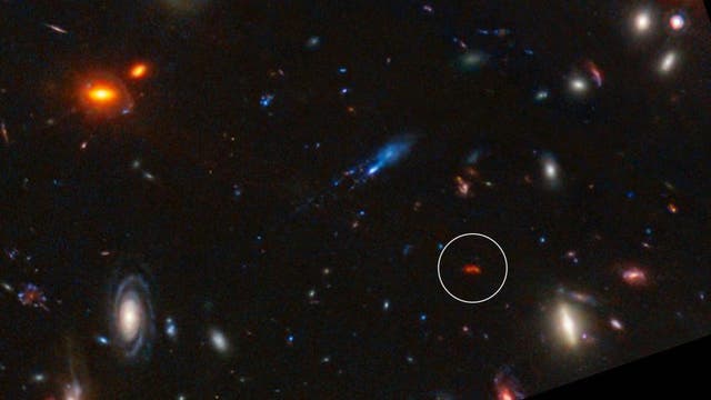<p>The galaxy Y1 (circled) glowing red in an image captured by the James Webb Space Telescope</p>