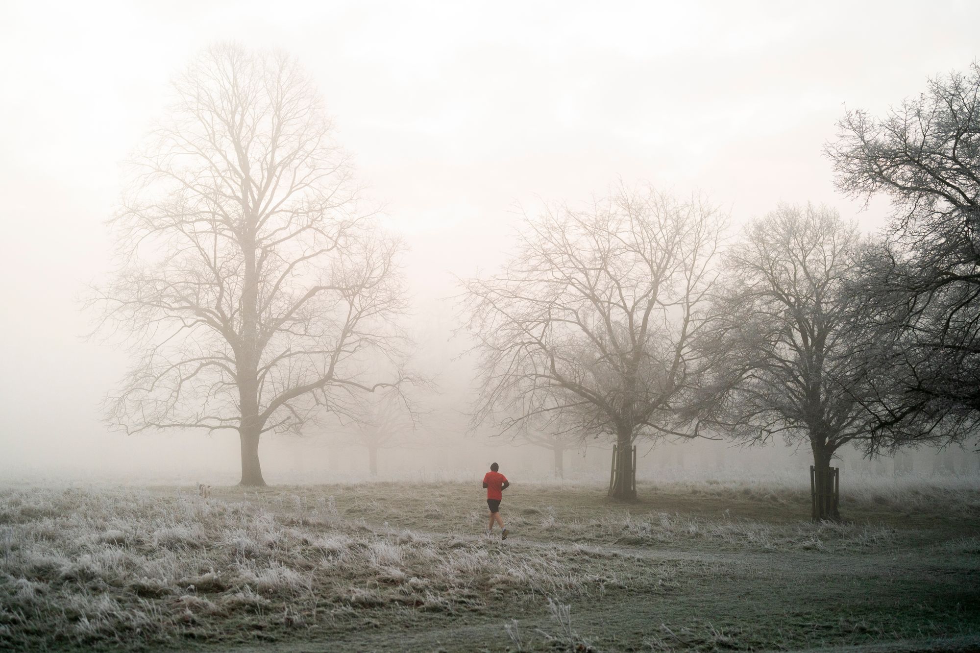 Temperatures are expected to plummet to as low as -2C in some parts of the country