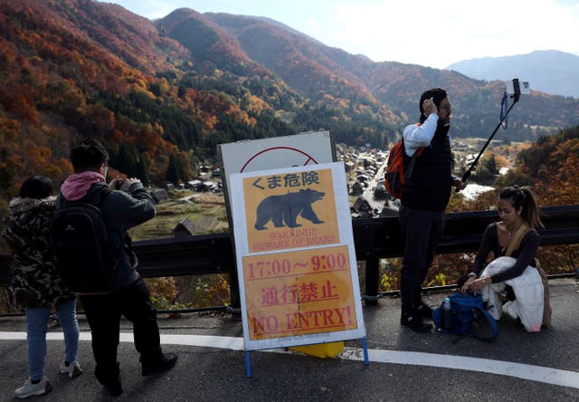 <p>Tourists take photos near a bear warning sign in Shirakawa village, Gifu prefecture, Japan</p>