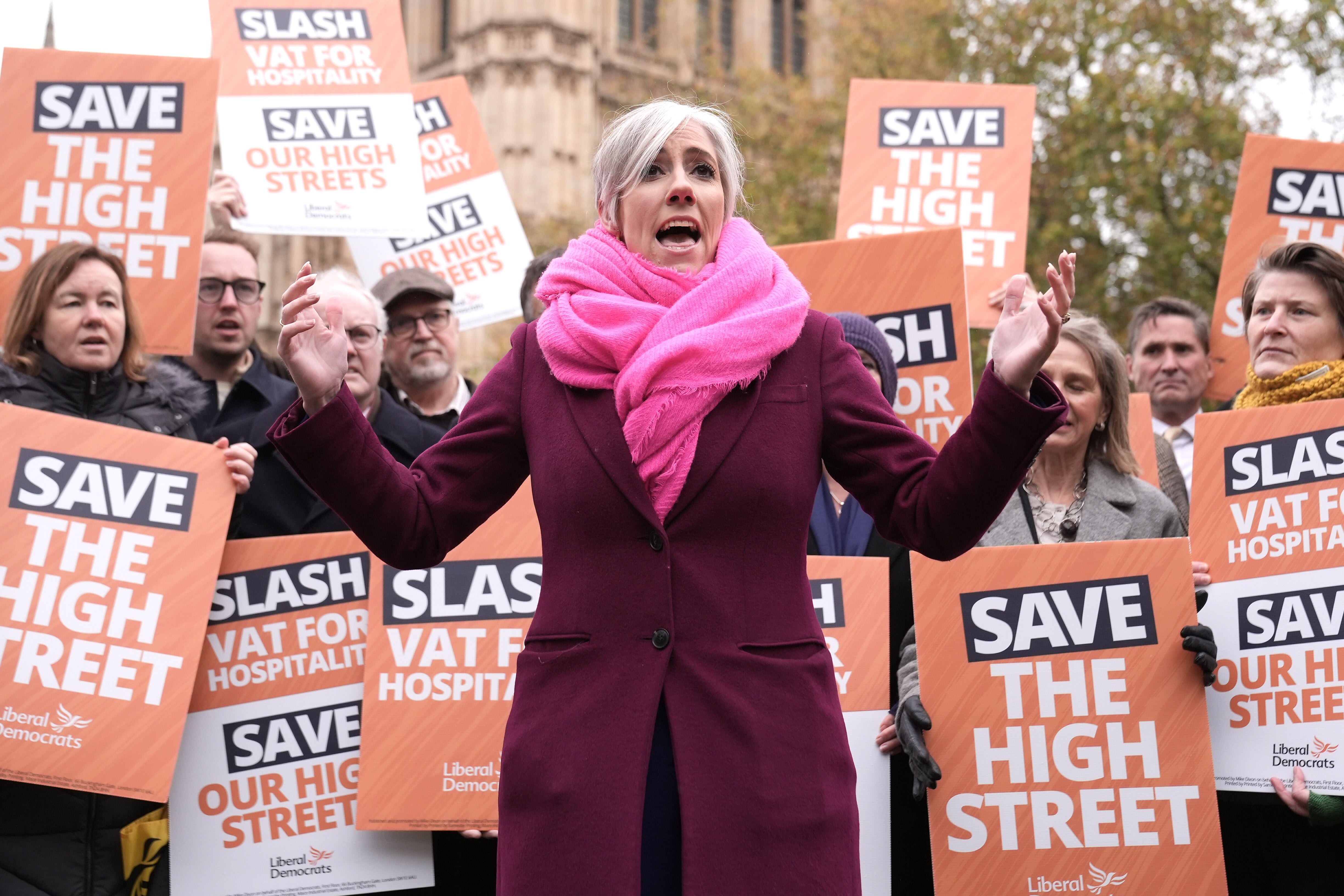 The Liberal Democrats commissioned the polling