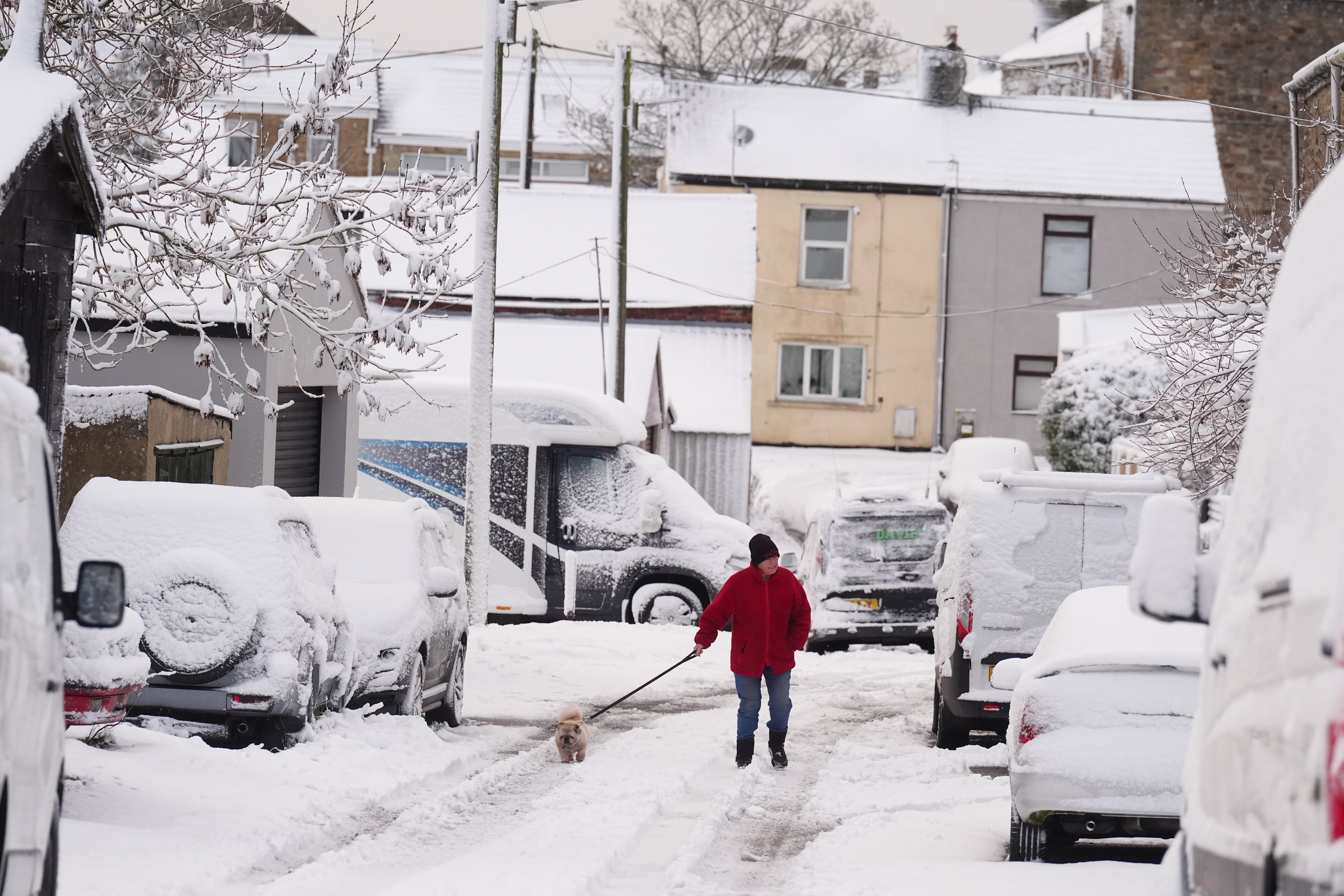 A person walking their dog in the snow in County Durham (Owen Humphreys/PA)