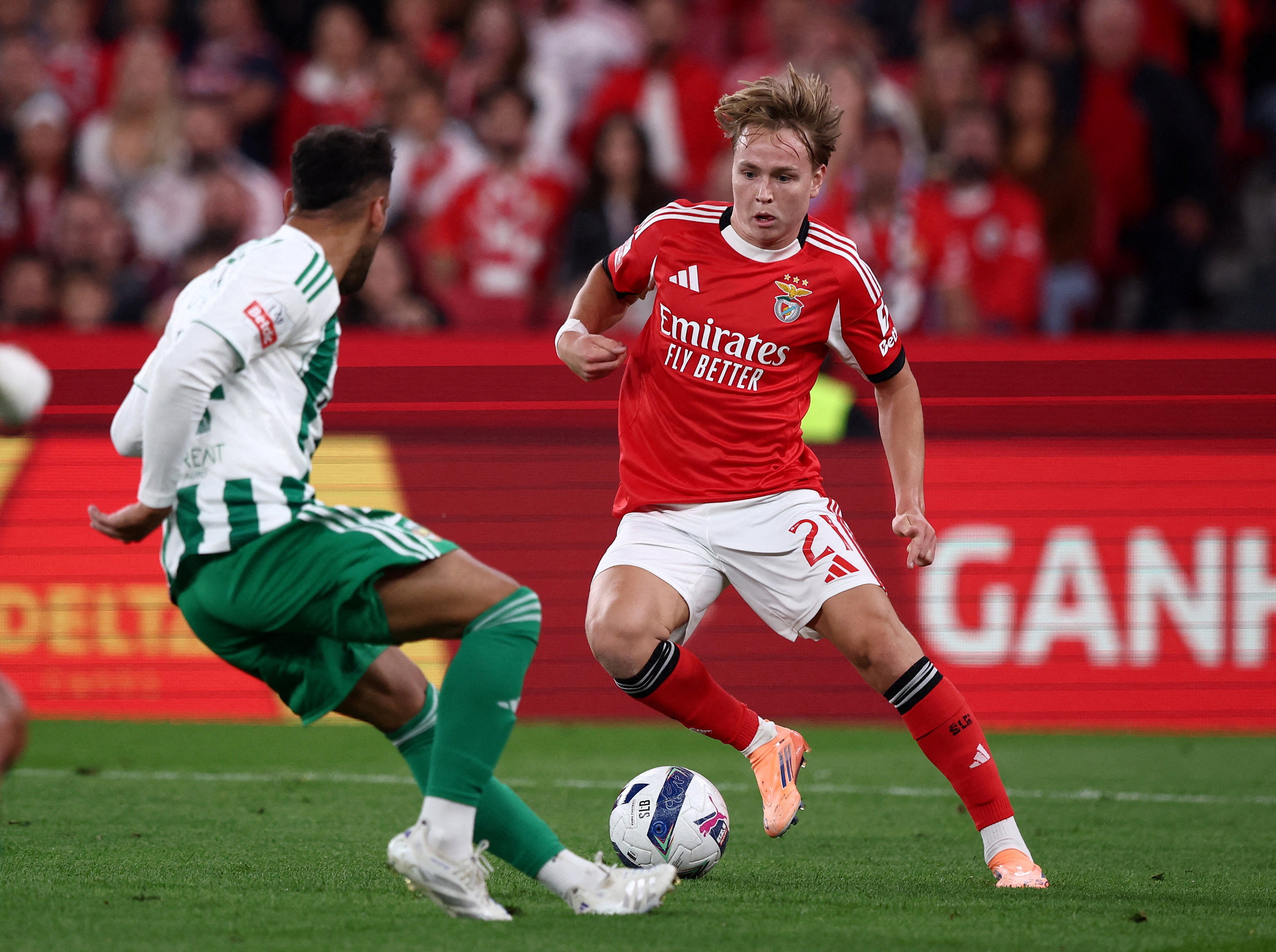 Andreas Schjelderup now plays for Benfica
