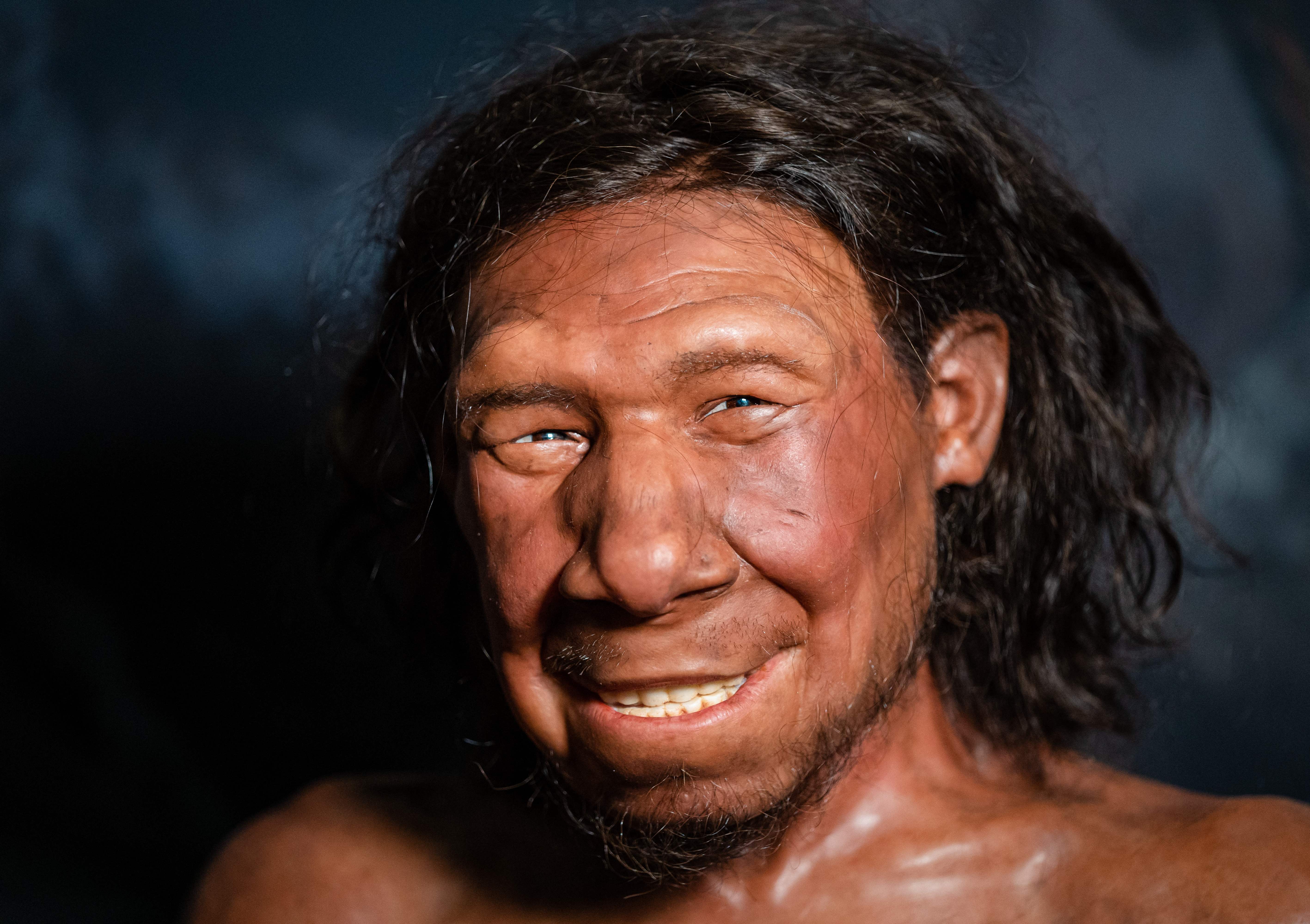 Reconstruction of the face of the oldest Neanderthal found in the Netherlands, nicknamed Krijn,