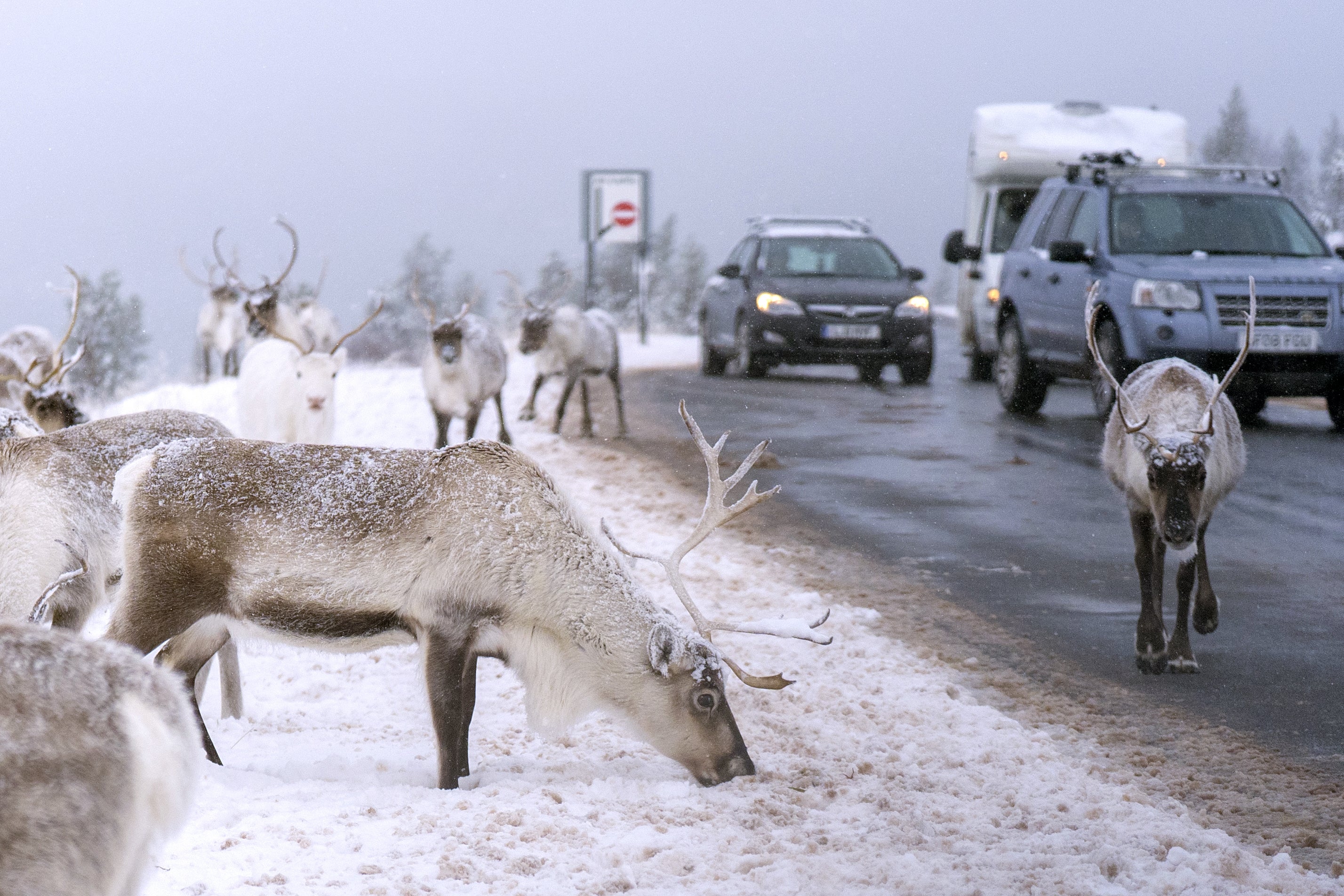 Temperatures could drop to -12C in areas of lying snow in Scotland on Friday, the Met Office said (Jane Barlow/PA)