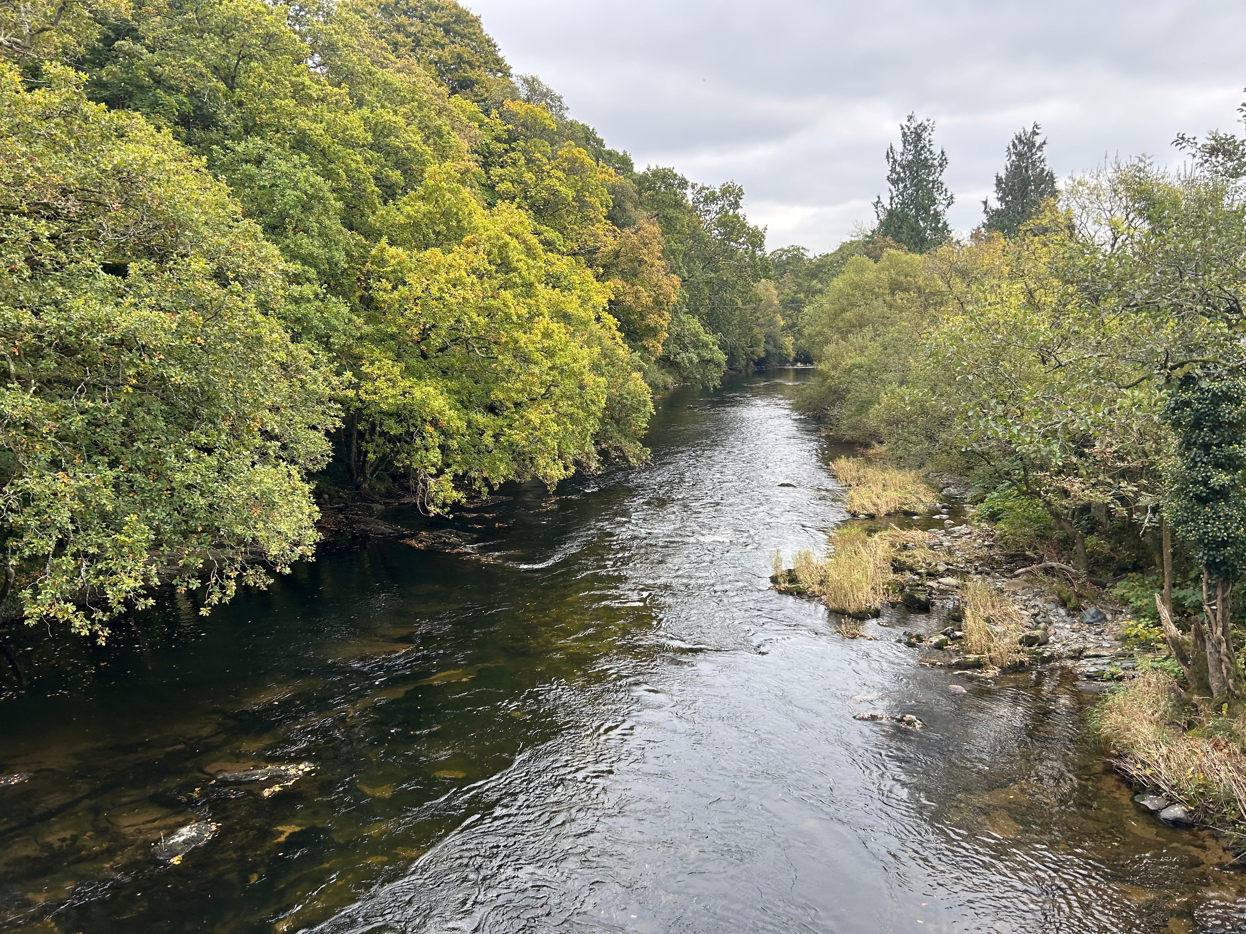 A large part of this first section of the trail follows the River Dart