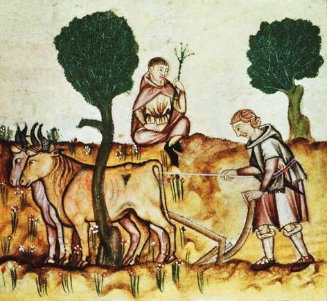 Peasants plough a field in the Middle Ages