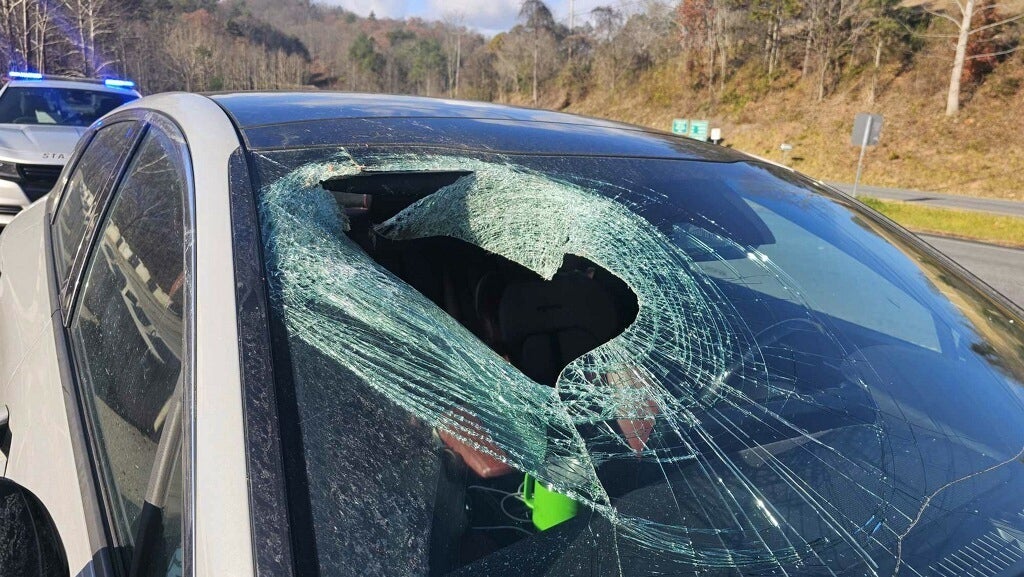 This photo provided by N. C. State Highway Patrol Public Information Office shows a smashed windshield after a cat carcass crashed into the car along a highway near the Great Smoky Mountains National Park in North Carolina on Wednesday, Nov. 19, 2025. (N. C. State Highway Patrol Public Information Office via AP)