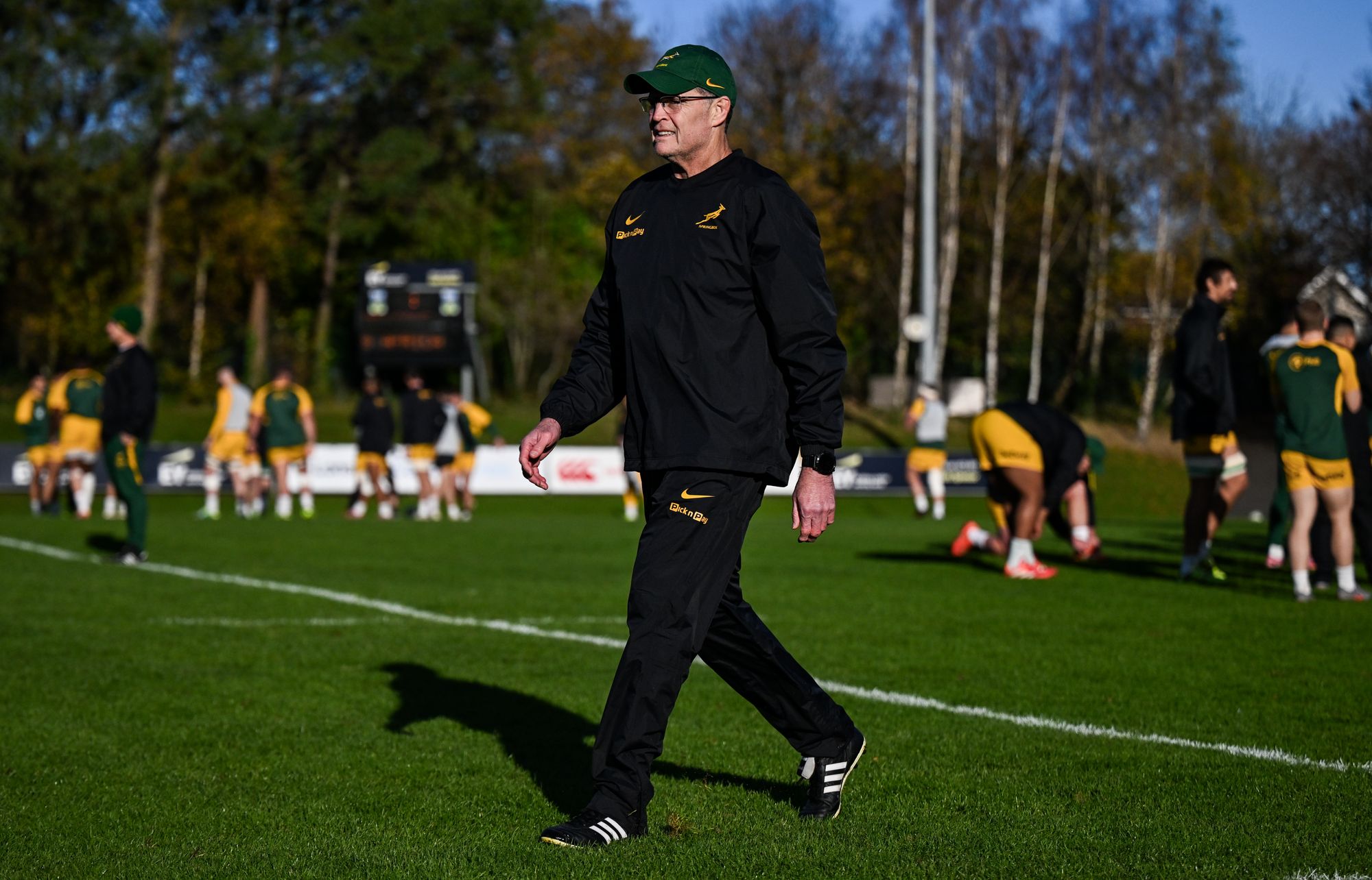 Rassie Erasmus is yet to win in Dublin as a coach