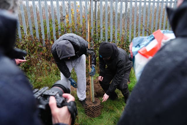 One of the saplings was planted at the Tree Sanctuary in Coventry (Jacob King/PA)