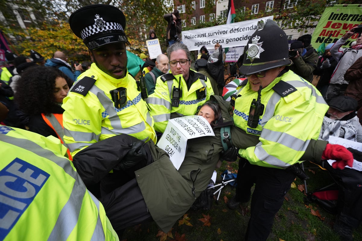Daughter of Holocaust survivor among those arrested for holding Palestine Action signs