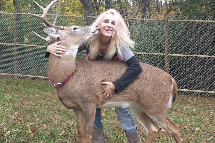 Jodi Proger, 64, was killed by a buck on November 15 after getting stuck in her deer enclosure