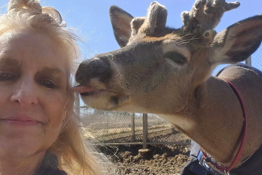 Jodi Proger, 64, was killed by a buck on November 15 after getting stuck in her deer enclosure