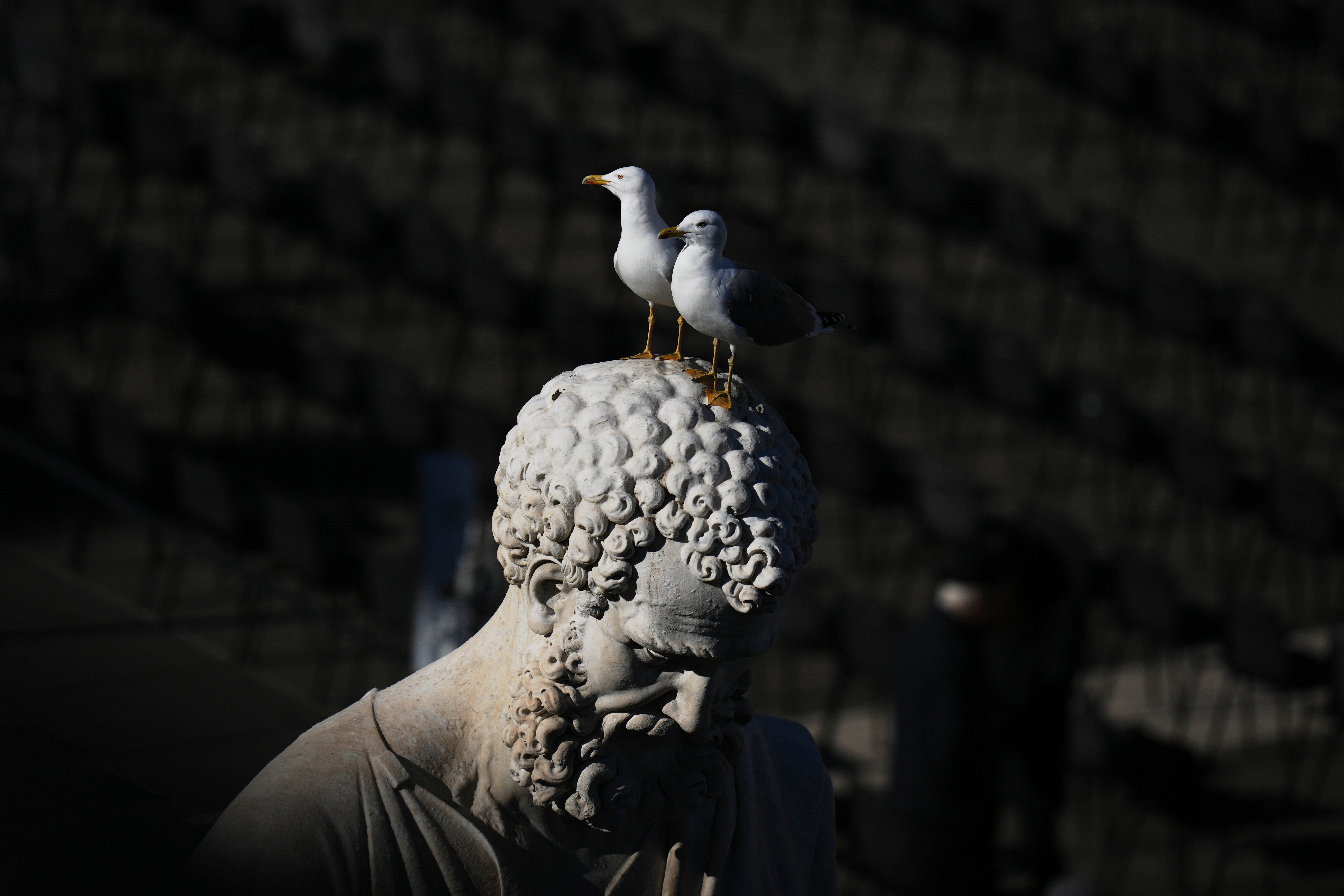 APTOPIX Vatican Pope