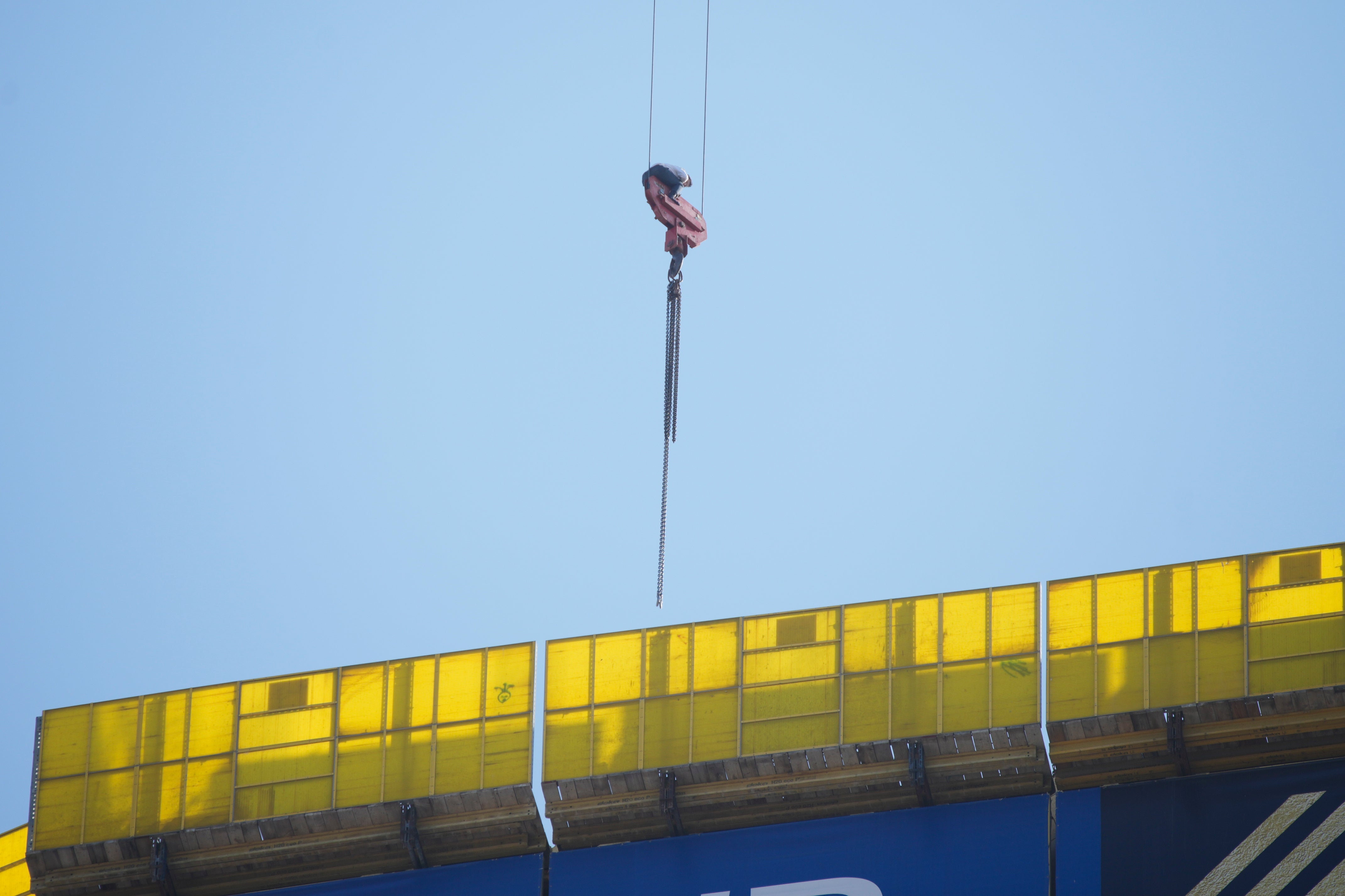 Israel Crane Rescue