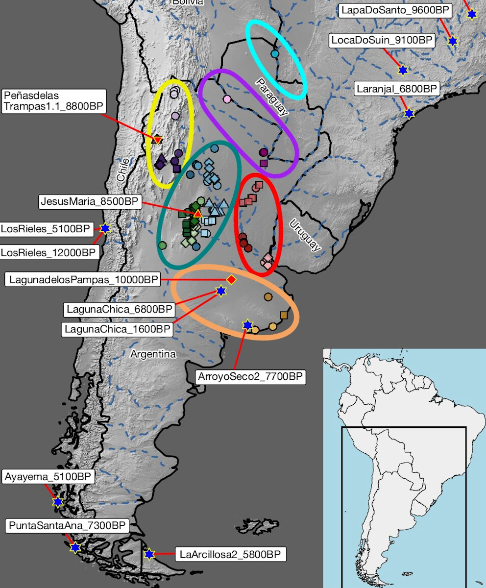 Ancient human DNA samples were analysed from across the central Southern Cone of South America