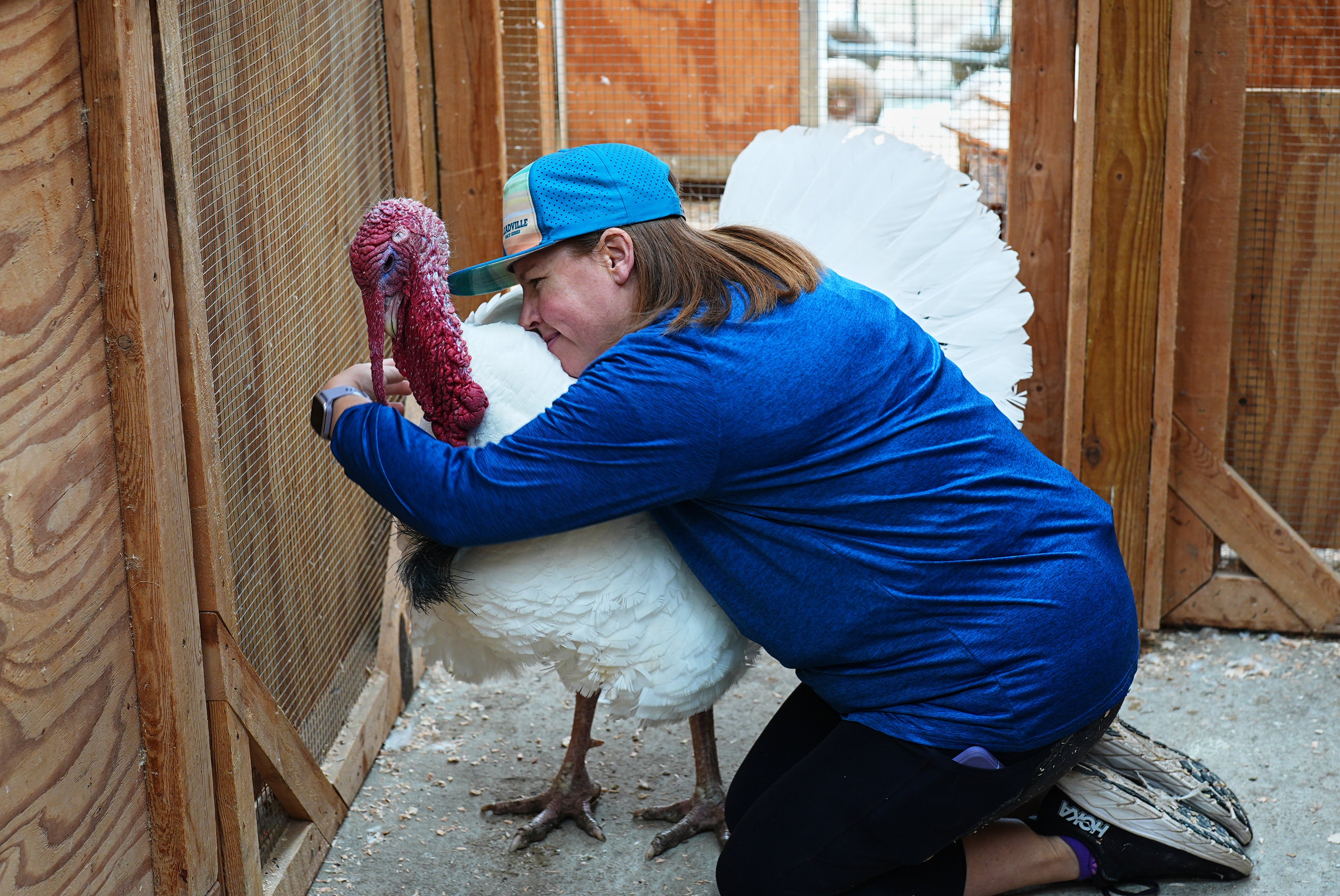 Lanette Cook, education and engagement manager at Luvin Arms Animal Sanctuary, hugs a pardoned turkey named Gus that now lives at the rescue.