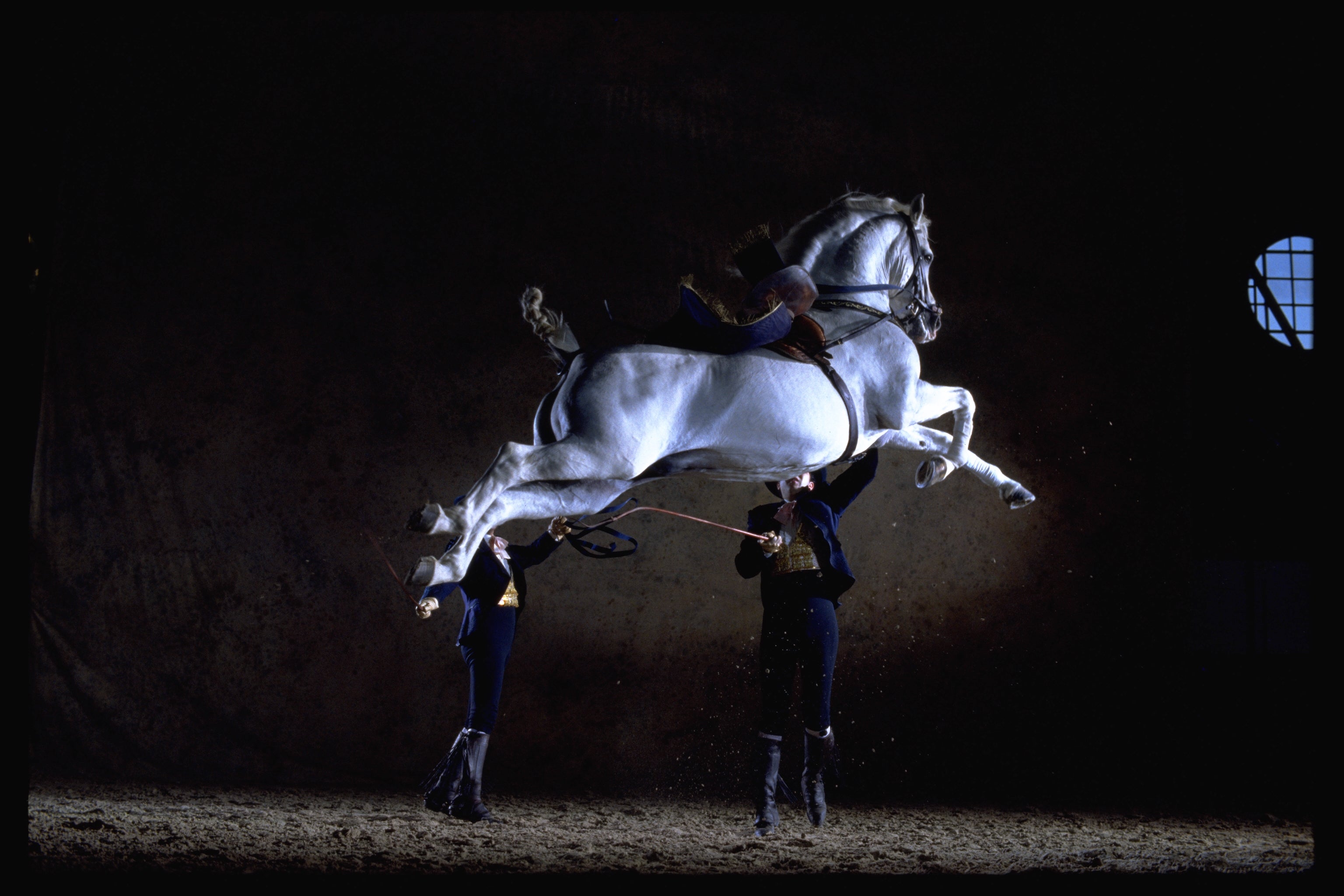 Don’t miss the incredible equestrian ballet at the Royal Andalucian Riding School