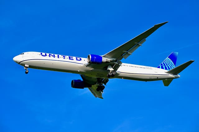 <p>The United Boeing 767 diverted to Dublin on 19 November </p>