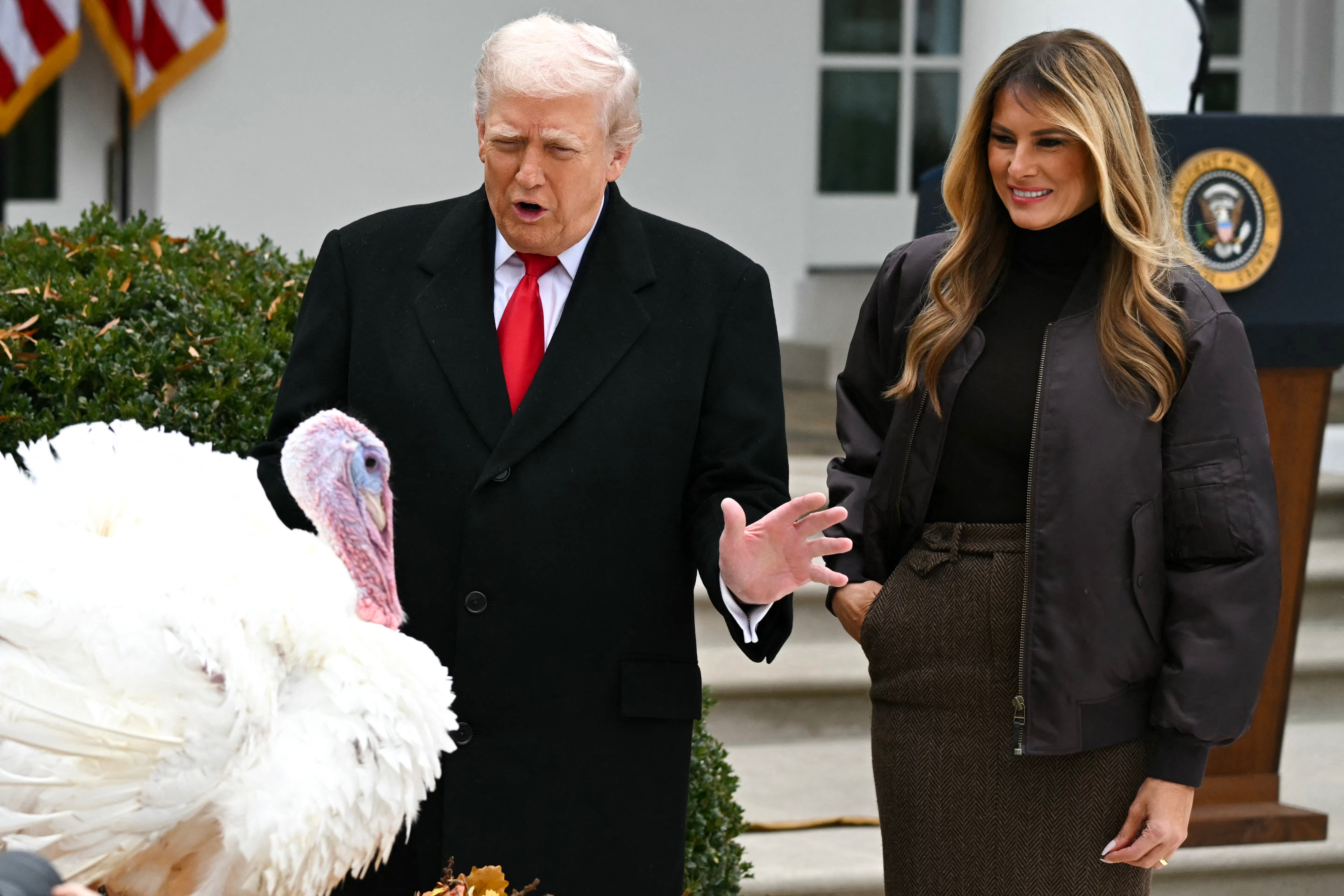 Donald Trump pardoning a turkey before Thanksgiving