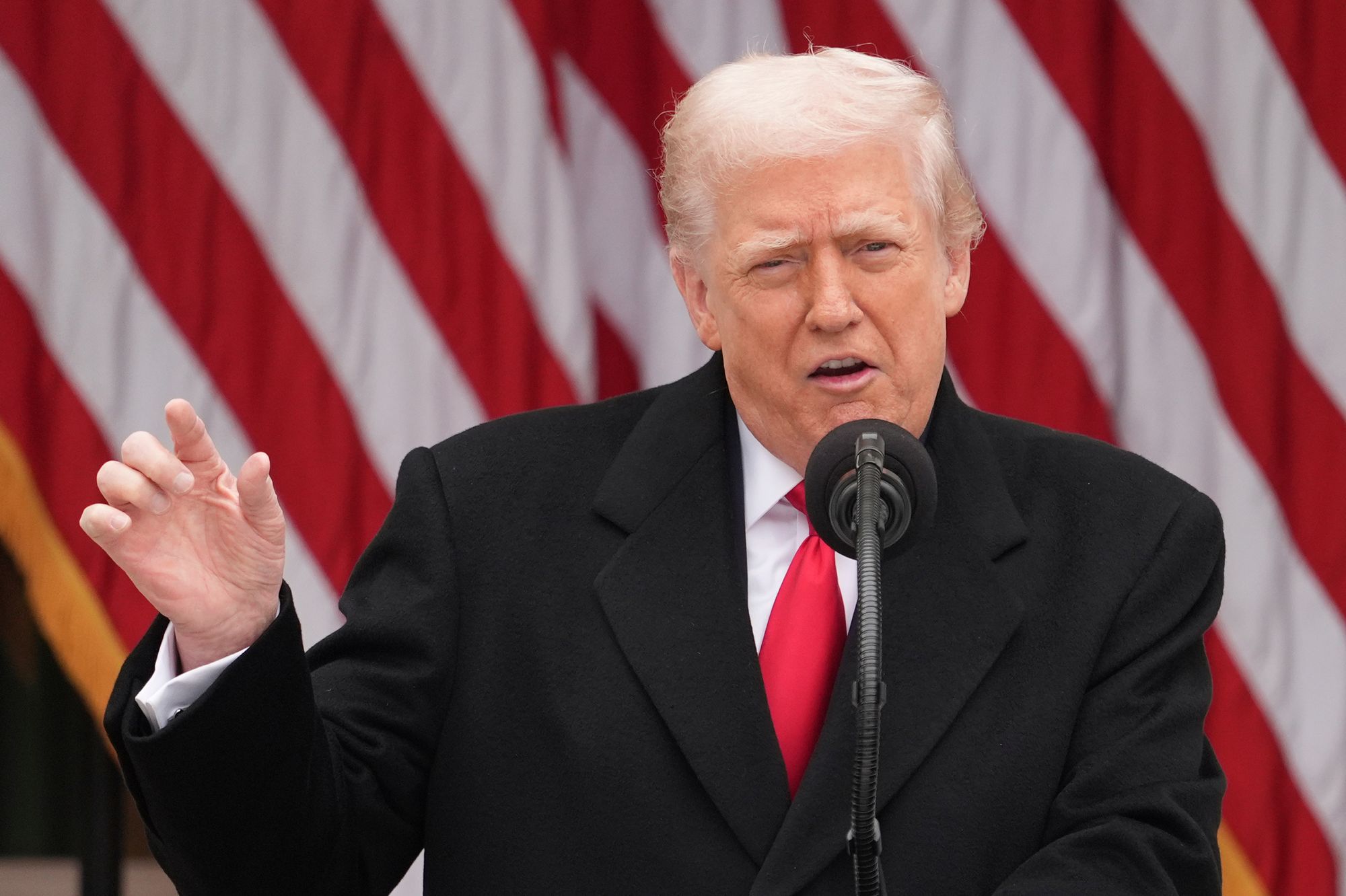 Trump told the crowd, that included children, about a recent incident in Chicago where a woman was set on fire.